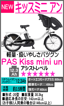 キッスミニアン PA20KXL