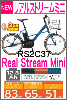 リアルストリームミニ/RS3C37