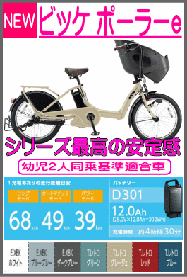 ビッケポーラーe/polar/bikke polar/bp0d38