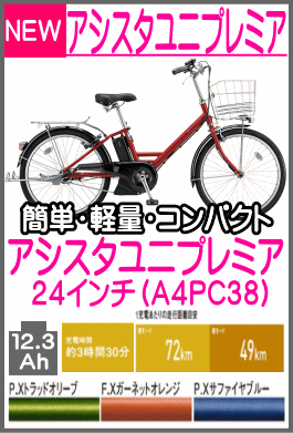 アシスタユニプレミア24 A4PC38