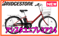 アシスタユニプレミア24 A4PC37