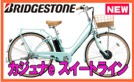 カジュナe スイートライン CS6B48
