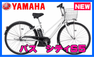 シティS5