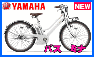 パスミナ
