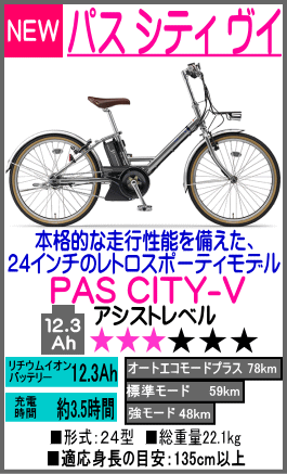 PAS CITY-V PA24CV