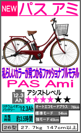 パスアミ PA26A