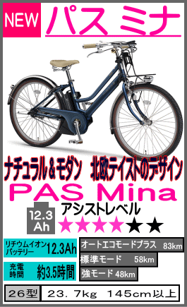 パスミナ PA26M
