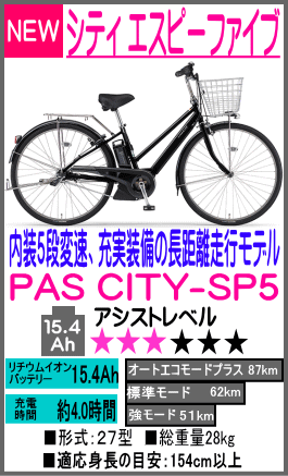 パス シティSP5