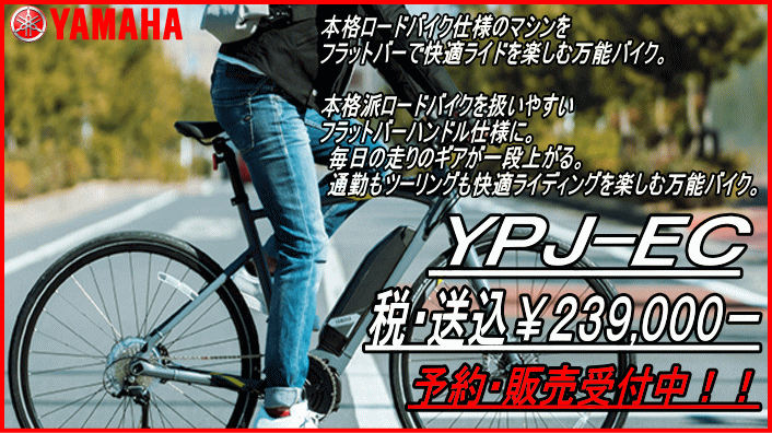 YPJ-EC