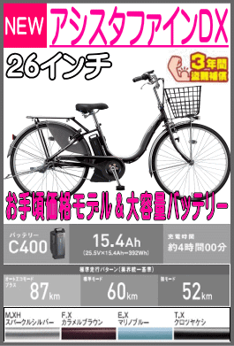 アシスタファインDX/A6XC49