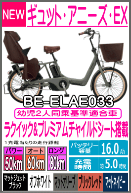 ギュット・アニーズ・EX/BE-ELAE033