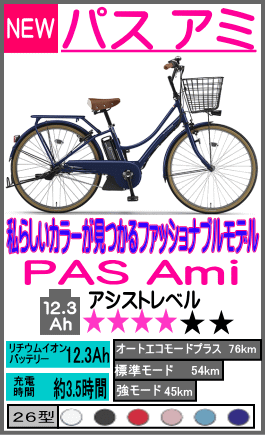 パスアミ PAS Ami 26型〈PA26A〉