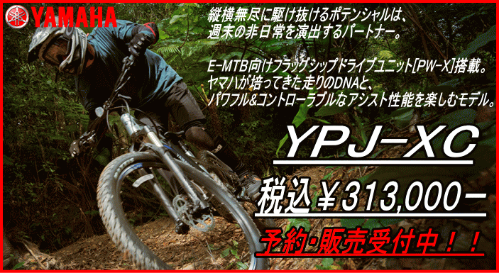 YPJ-XC