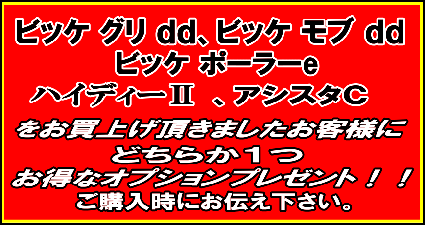 ブリヂストンキャンペーン