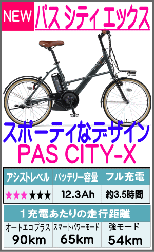 パス シティ エックス PAS CITY-X　20型〈PA20CX〉