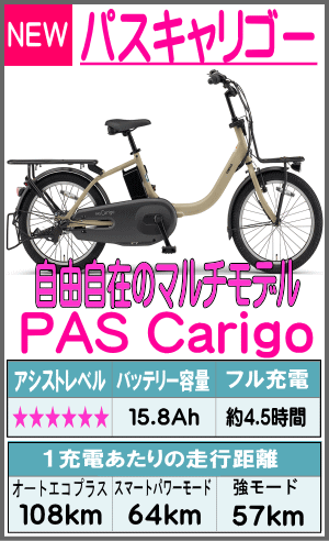 パス　キャリゴー