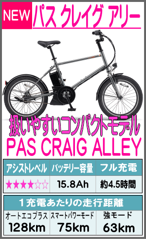 パス　クレイグ　アリー