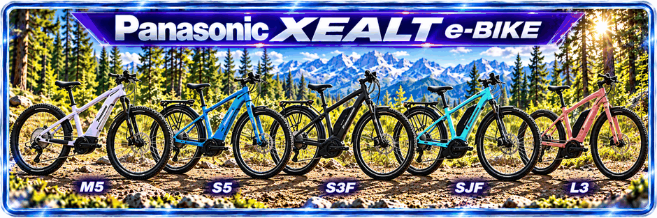 Panasonic XEALT