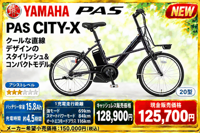 PAS CITY-X